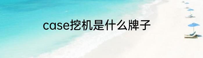 case挖机是什么牌子
