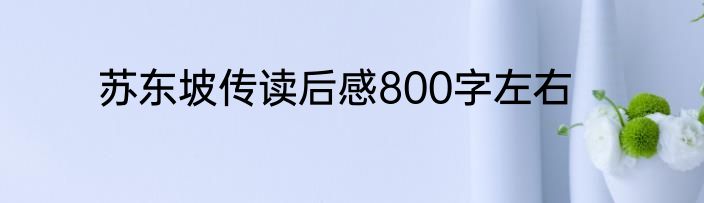 苏东坡传读后感800字左右