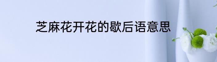 芝麻花开花的歇后语意思