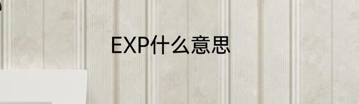 EXP什么意思