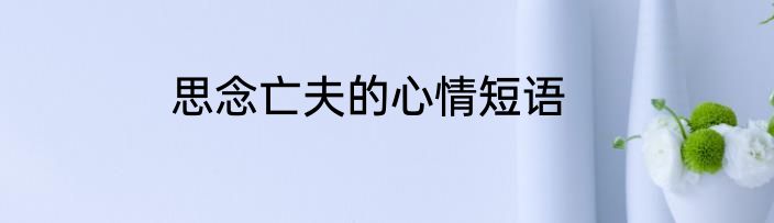 思念亡夫的心情短语