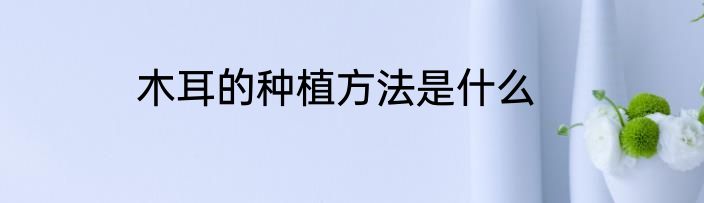 木耳的种植方法是什么
