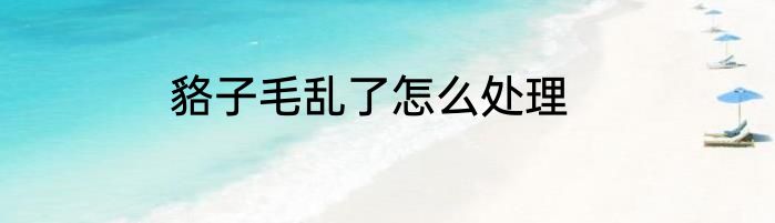 貉子毛乱了怎么处理