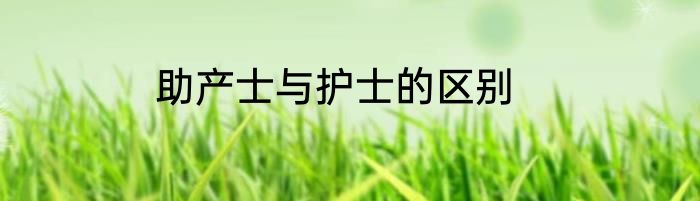 助产士与护士的区别
