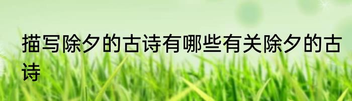 描写除夕的古诗有哪些有关除夕的古诗