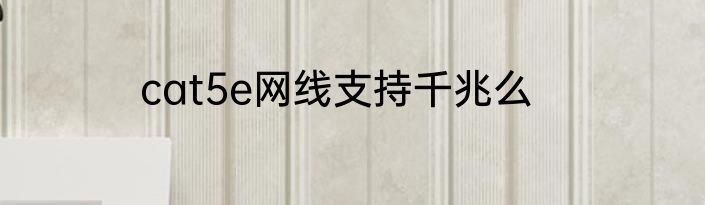 cat5e网线支持千兆么