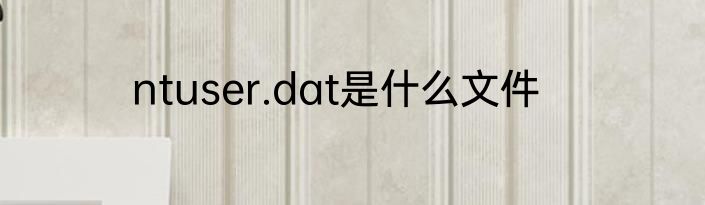 ntuser.dat是什么文件