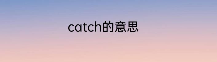 catch的意思