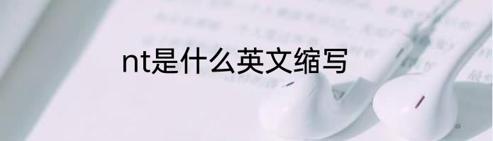 nt是什么英文缩写