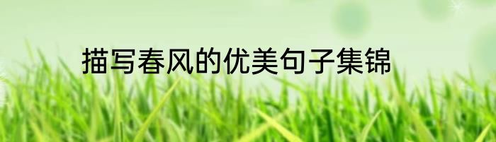描写春风的优美句子集锦