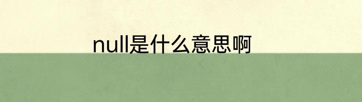 null是什么意思啊