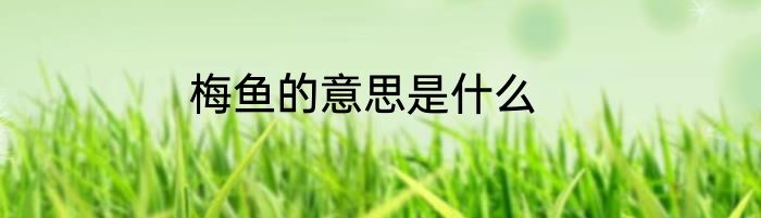 梅鱼的意思是什么