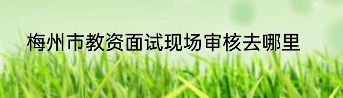 梅州市教资面试现场审核去哪里