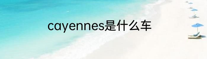 cayennes是什么车