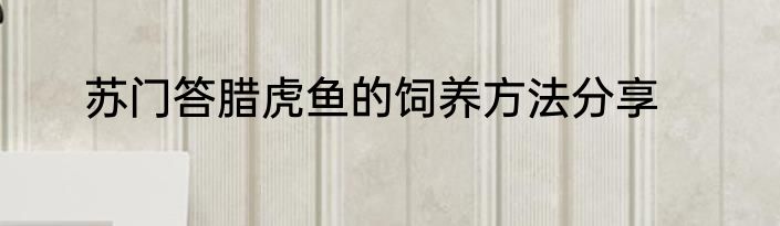苏门答腊虎鱼的饲养方法分享