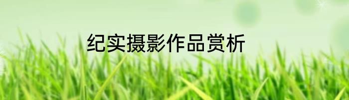 纪实摄影作品赏析