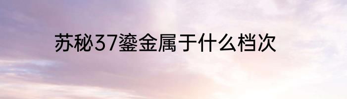 苏秘37鎏金属于什么档次