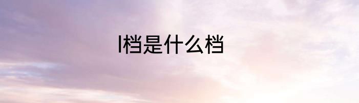 l档是什么档