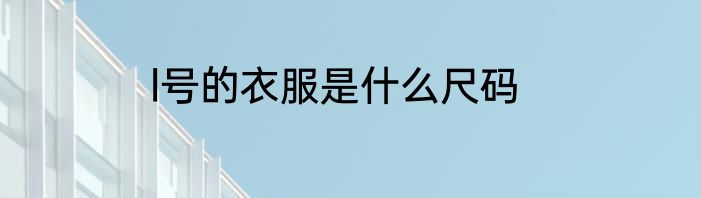 l号的衣服是什么尺码