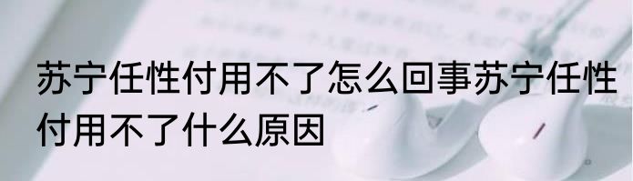 苏宁任性付用不了怎么回事苏宁任性付用不了什么原因