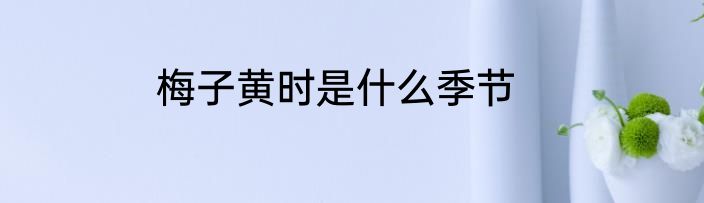 梅子黄时是什么季节