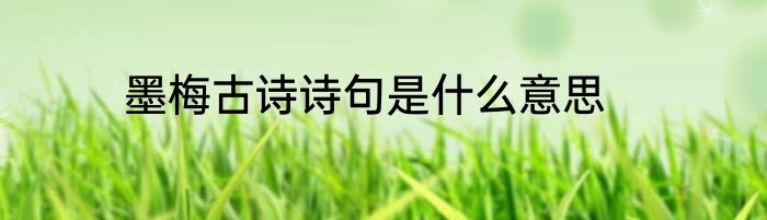 墨梅古诗诗句是什么意思