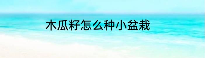 木瓜籽怎么种小盆栽