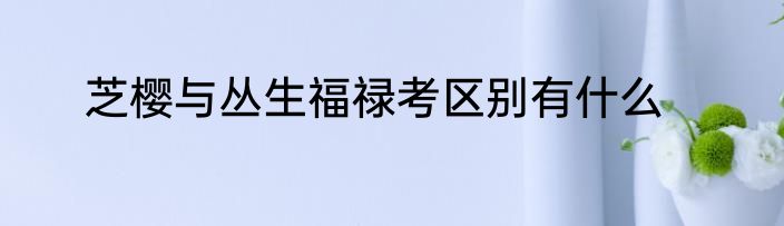 芝樱与丛生福禄考区别有什么