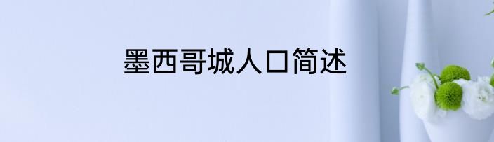 墨西哥城人口简述