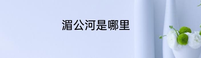 湄公河是哪里