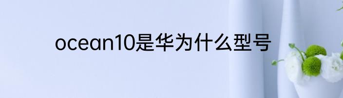 ocean10是华为什么型号