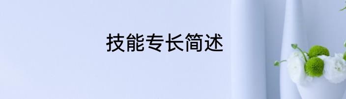 技能专长简述