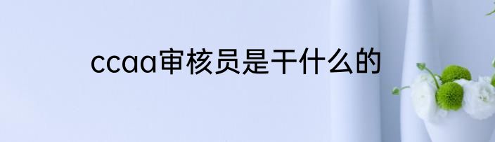 ccaa审核员是干什么的