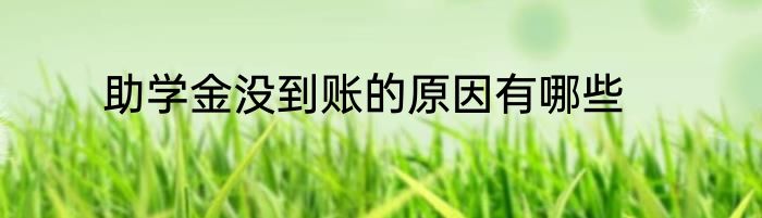 助学金没到账的原因有哪些