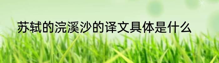 苏轼的浣溪沙的译文具体是什么