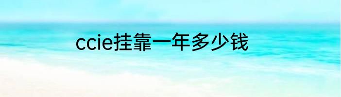 ccie挂靠一年多少钱