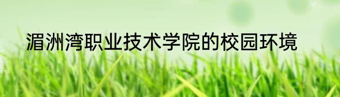 湄洲湾职业技术学院的校园环境