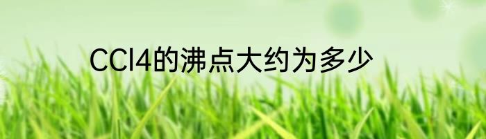 CCl4的沸点大约为多少