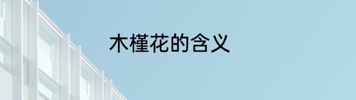 木槿花的含义
