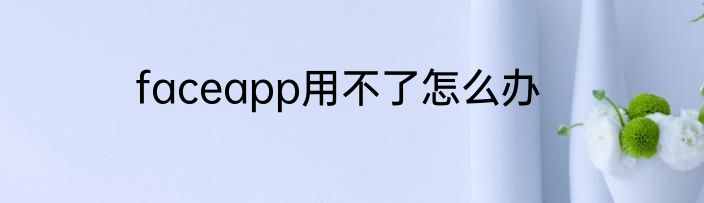 faceapp用不了怎么办