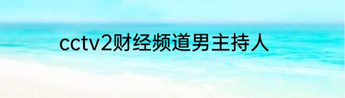 cctv2财经频道男主持人