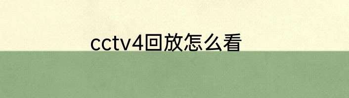 cctv4回放怎么看