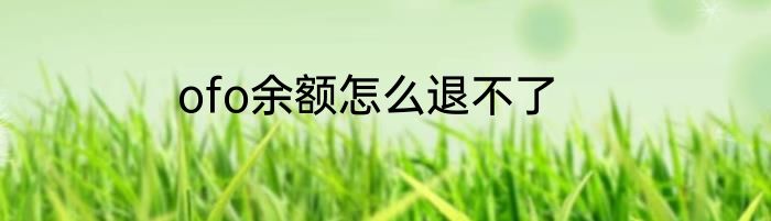ofo余额怎么退不了
