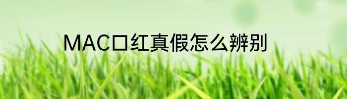 MAC口红真假怎么辨别