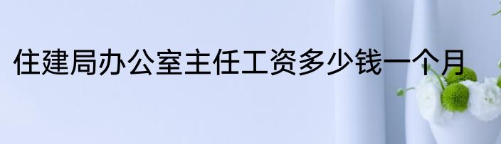 住建局办公室主任工资多少钱一个月