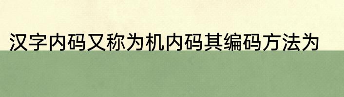 汉字内码又称为机内码其编码方法为