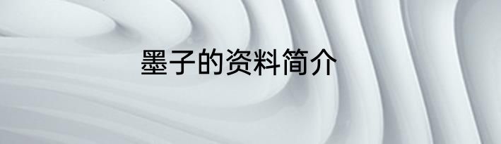 墨子的资料简介