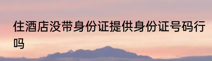 住酒店没带身份证提供身份证号码行吗