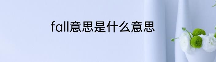 fall意思是什么意思