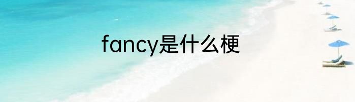 fancy是什么梗